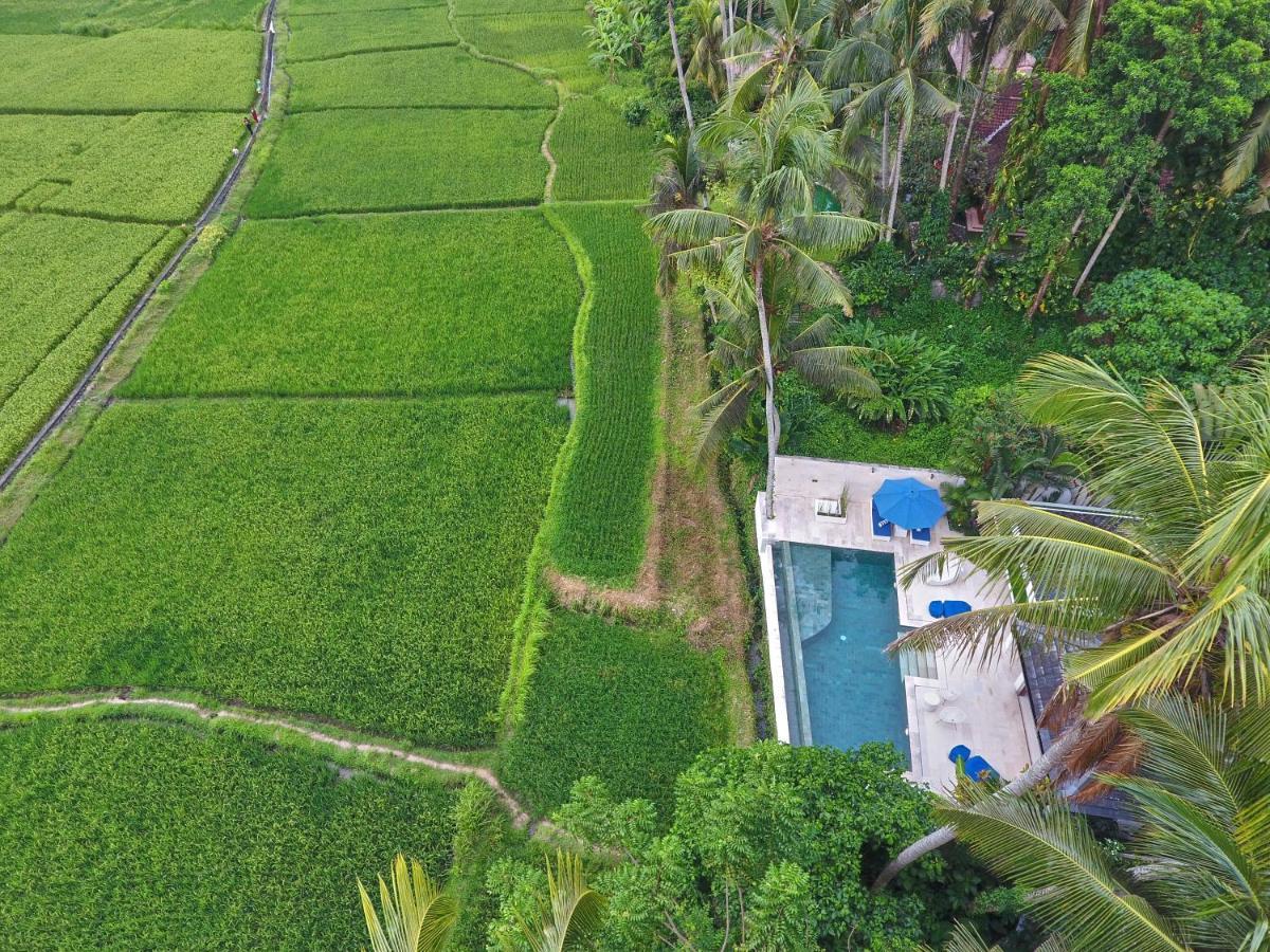 Villa Balinese Luxurious Elegance Ubud Exteriér fotografie