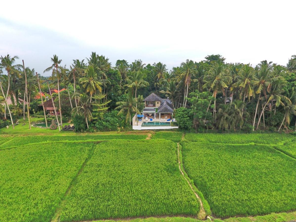 Villa Balinese Luxurious Elegance Ubud Exteriér fotografie