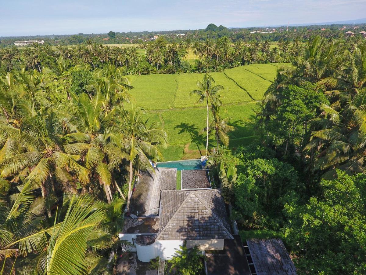 Villa Balinese Luxurious Elegance Ubud Exteriér fotografie