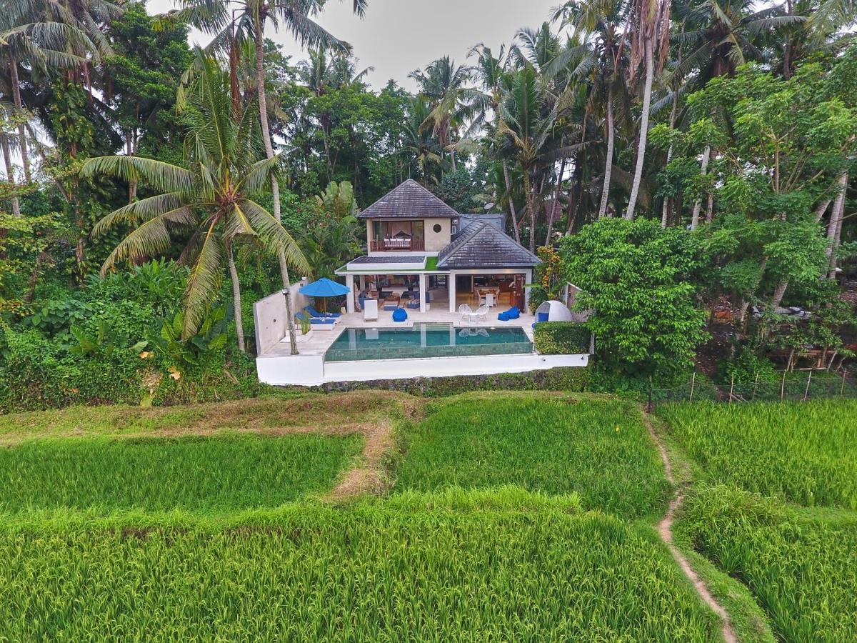 Villa Balinese Luxurious Elegance Ubud Exteriér fotografie