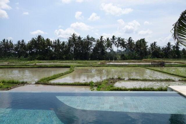 Villa Balinese Luxurious Elegance Ubud Exteriér fotografie